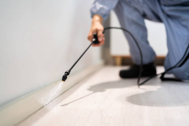Licensed Rodent Control service in Henderson County County, TX - Nex Pest Control